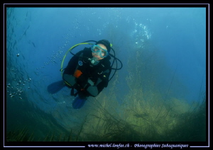 Freshwater in Cristal water diving... :O)... by Michel Lonfat 